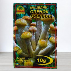 Міцелій гриба Опеньок Осінній, 10г